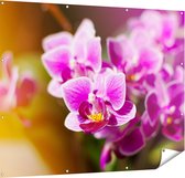 Gards Tuinposter Paarse Orchidee Bloemen - 150x120 cm - Tuindoek - Tuindecoratie - Wanddecoratie buiten - Tuinschilderij