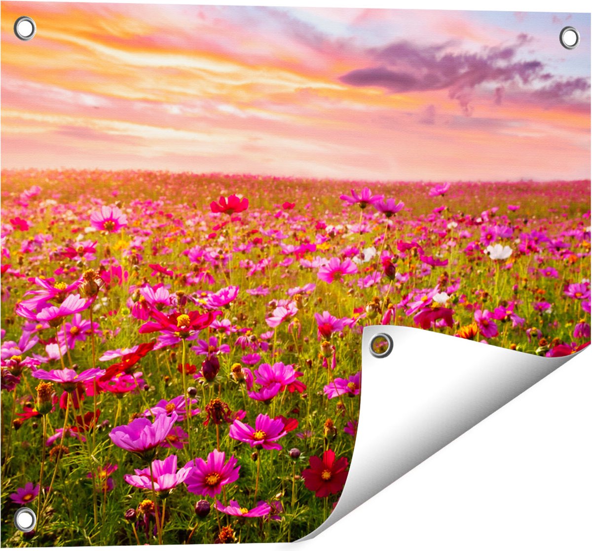 Gards Tuinposter Kleurrijke Kosmos Bloemenveld - 50x40 cm - Tuindoek - Tuindecoratie - Wanddecoratie buiten - Tuinschilderij Multikleur