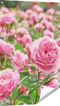 Gards Tuinposter Roze Rozen Bloemenveld - 60x90 cm - Tuindoek - Tuindecoratie - Wanddecoratie buiten - Tuinschilderij