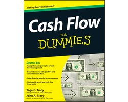 Cash Flow For Dummies