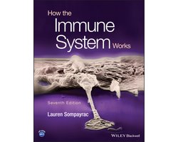 How the Immune System Works