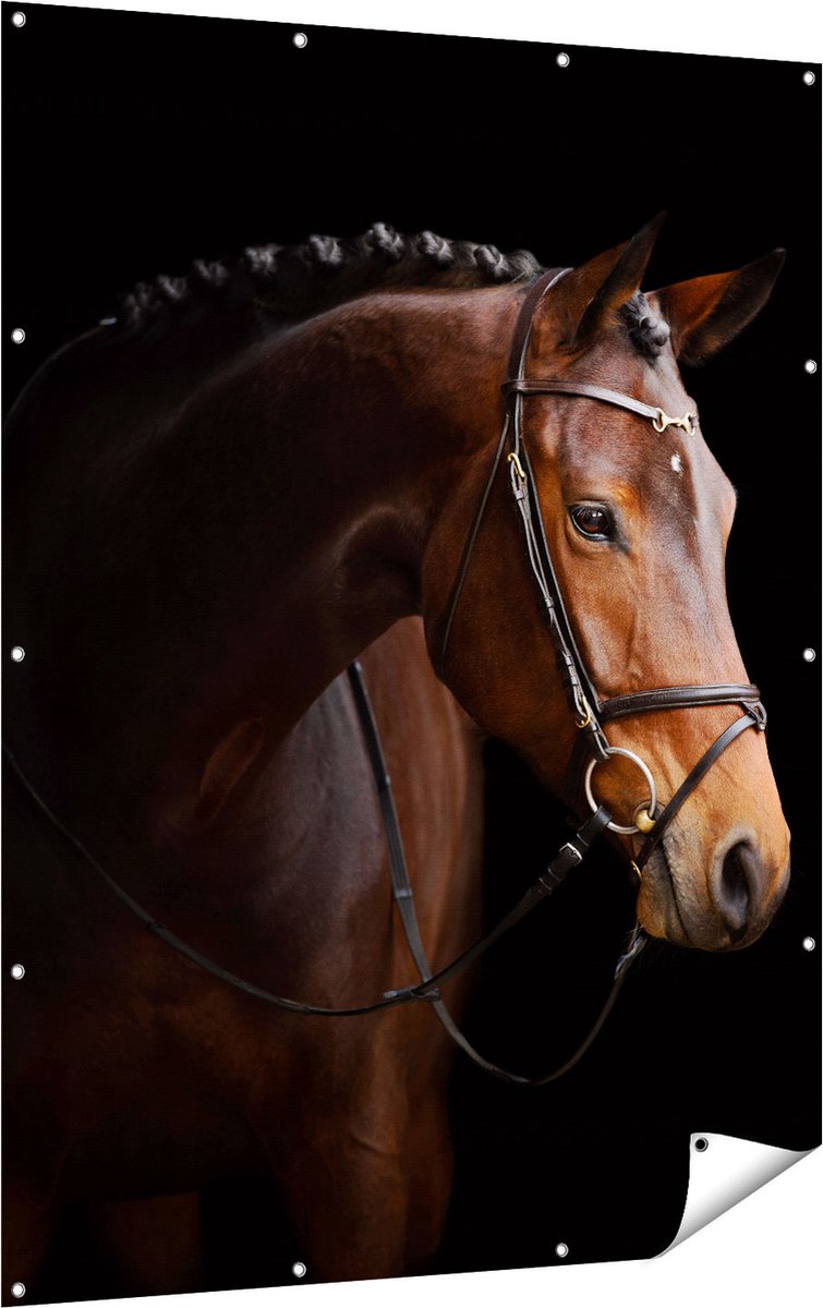 Gards Tuinposter Bruin Paard op een Zwart Achtergrond - 120x160 cm - Tuindoek - Tuindecoratie - Wanddecoratie buiten - Tuinschilderij Multikleur
