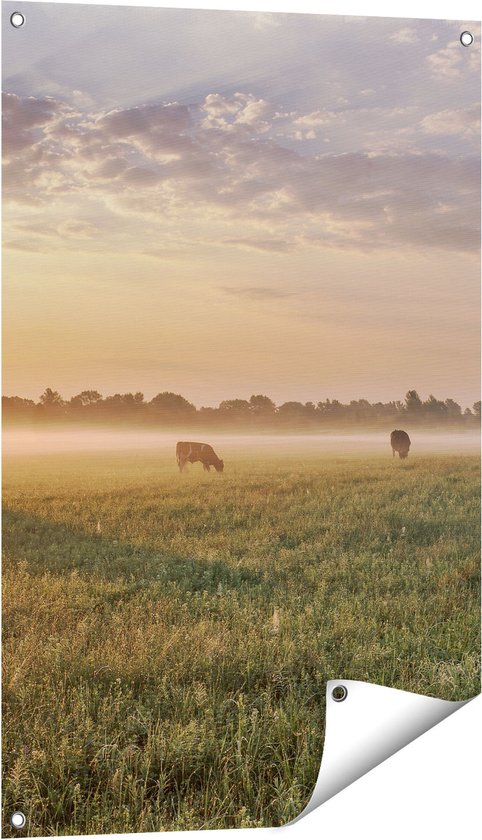 De rode koeien van Angus stock afbeelding. Image of landbouw - 21604005