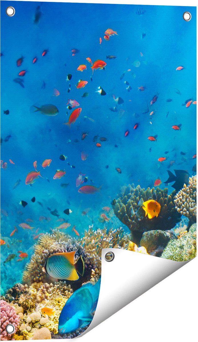 Gards Tuinposter Onderwater Vissen met Koraal in de Zee - 40x60 cm - Tuindoek - Tuindecoratie - Wanddecoratie buiten - Tuinschilderij Multikleur