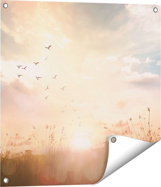 Gards Tuinposter Silhouet Vogels tijdens Zonsopkomst - 60x60 cm - Tuindoek - Tuindecoratie - Wanddecoratie buiten - Tuinschilderij