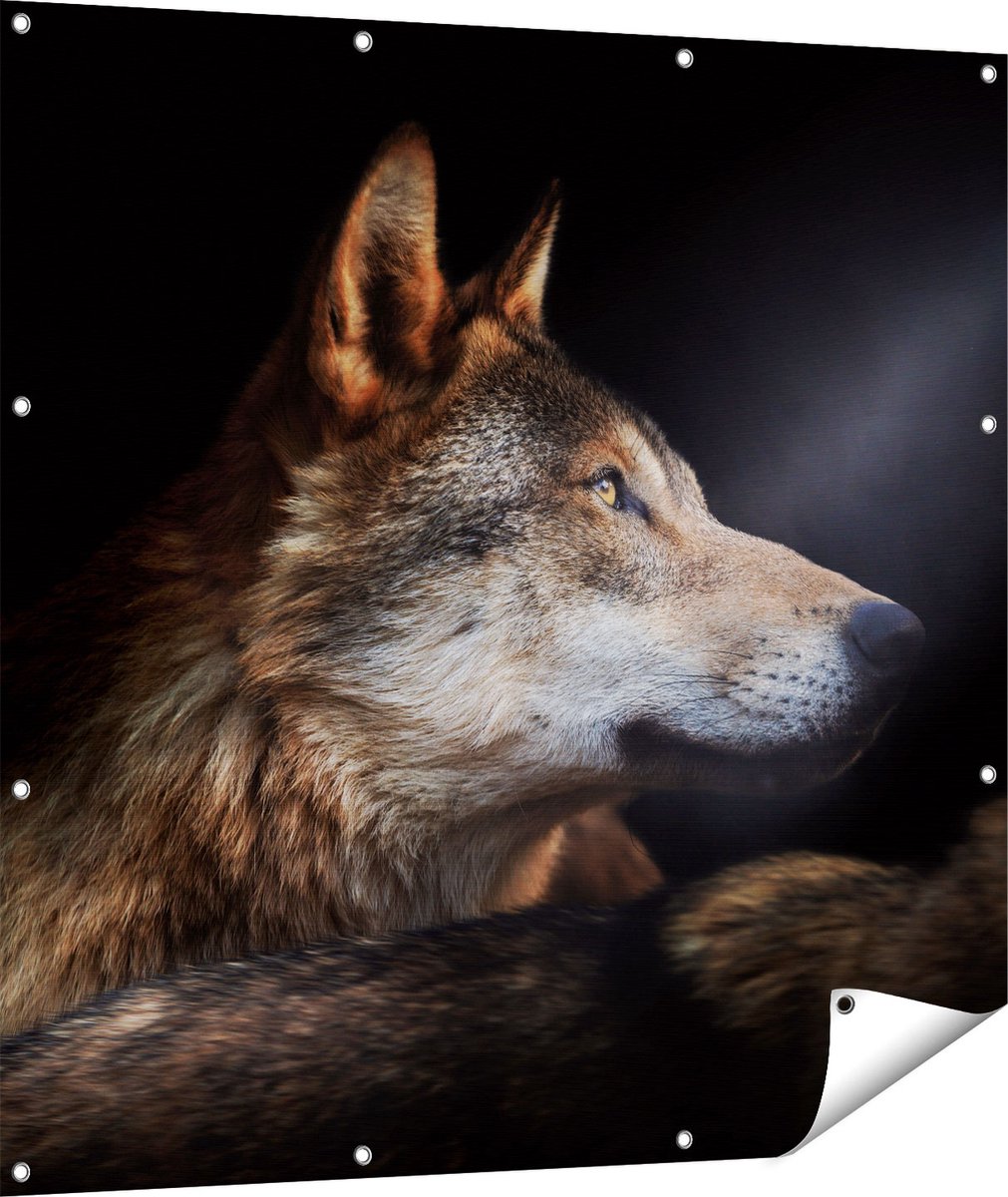 Gards Tuinposter Wolvenkop met een Zonnestraal - Wolf - 110x110 cm - Tuindoek - Tuindecoratie - Wanddecoratie buiten - Tuinschilderij Multikleur