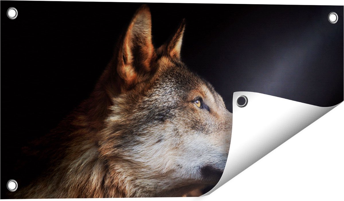 Gards Tuinposter Wolvenkop met een Zonnestraal - Wolf - 60x30 cm - Tuindoek - Tuindecoratie - Wanddecoratie buiten - Tuinschilderij Multikleur