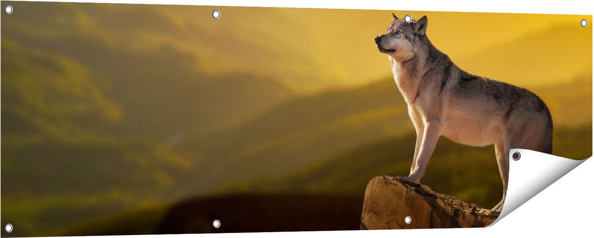 Gards Tuinposter Wolf op een Rots met een Heuvel Landschap - 150x50 cm - Tuindoek - Tuindecoratie - Wanddecoratie buiten - Tuinschilderij Multikleur