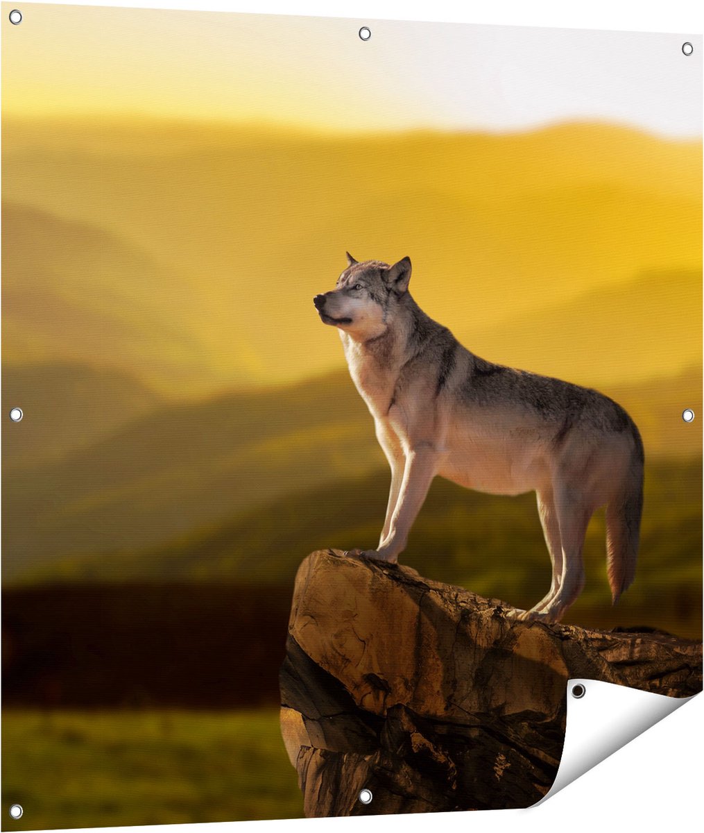 Gards Tuinposter Wolf op een Rots met een Heuvel Landschap - 100x100 cm - Tuindoek - Tuindecoratie - Wanddecoratie buiten - Tuinschilderij Multikleur