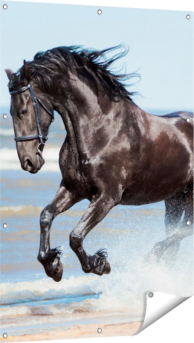 Gards Tuinposter Zwart Paard in het Water - 80x120 cm - Tuindoek - Tuindecoratie - Wanddecoratie buiten - Tuinschilderij Multikleur