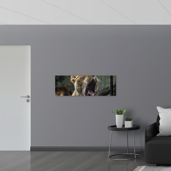 Poster (Mat) - Kop van Brullende Vrouwtjes Leeuw - 120x40 cm Foto op Posterpapier met een Matte look