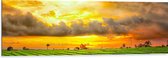 Dibond - Feloranje Lucht Vol Wolken boven Rijstvelden van Indonesië - 120x40 cm Foto op Aluminium (Met Ophangsysteem)