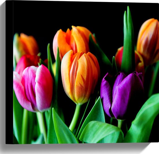 Canvas - Bos Gekleurde Tulpen op Zwarte Achtergrond - 40x40 cm Foto op Canvas Schilderij (Wanddecoratie op Canvas)