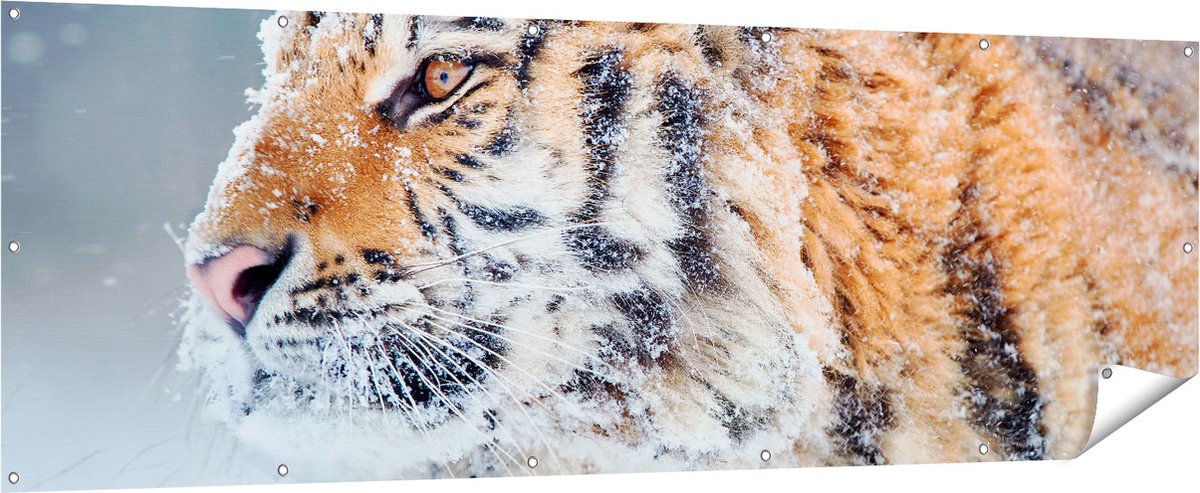 Gards Tuinposter Tijger tijdens de Sneeuw - 210x70 cm - Tuindoek - Tuindecoratie - Wanddecoratie buiten - Tuinschilderij Multikleur