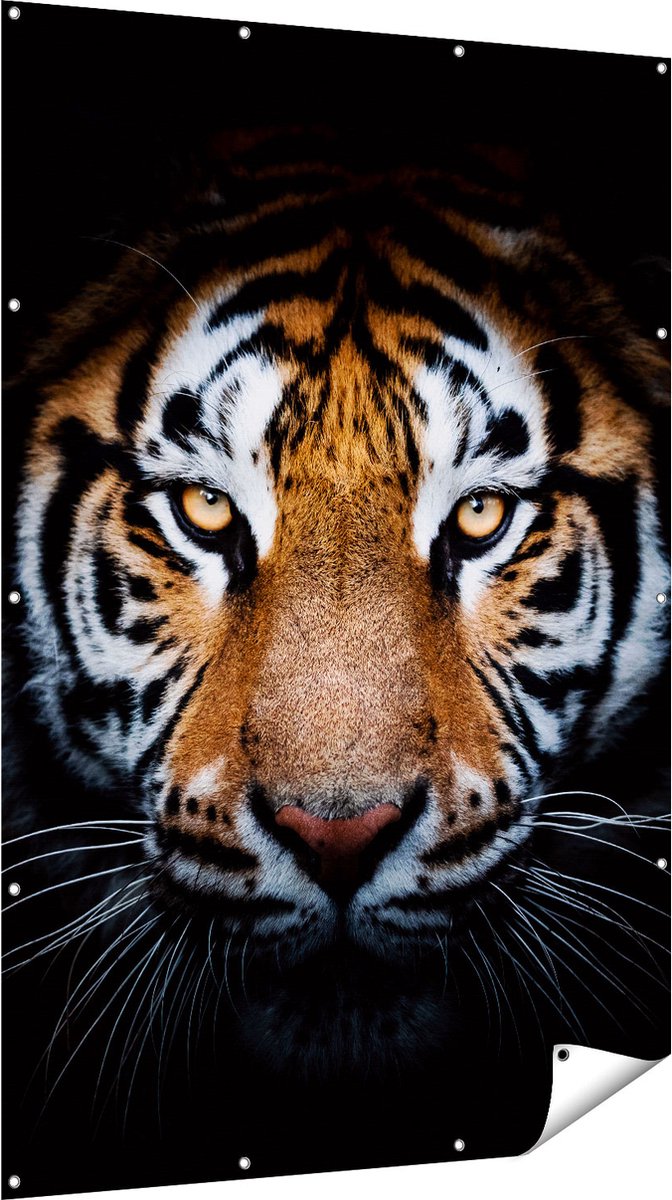 Gards Tuinposter Tijger op Zwart Achtergrond - 120x180 cm - Tuindoek - Tuindecoratie - Wanddecoratie buiten - Tuinschilderij Multikleur