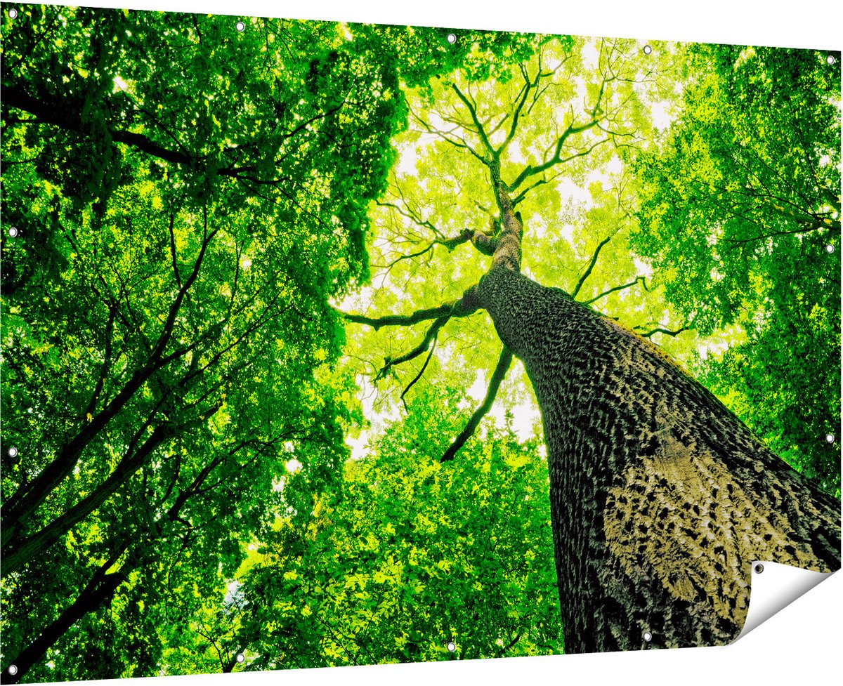 Gards Tuinposter Boom in het Bos met Fel Groene Bladeren - 180x120 cm - Tuindoek - Tuindecoratie - Wanddecoratie buiten - Tuinschilderij Multikleur