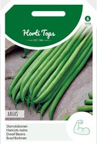 Hortitops Zaden - Haricot Vert Argus