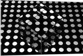 Acrylglas - Doorzichtige Kubus op Ondergrond van Witte Stippen op Zwarte Ondergrond - 105x70 cm Foto op Acrylglas (Met Ophangsysteem)