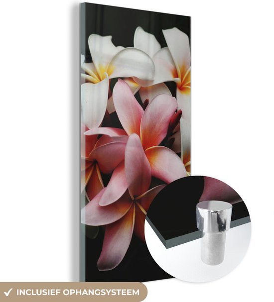 MuchoWow® Glasschilderij 20x40 cm - Schilderij acrylglas - Bloemen - Roze - Zwart - Flora - Botanisch - Foto op glas - Schilderijen