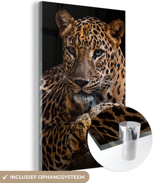 Glasschilderij luipaard - Boomstam - Dieren - Portret - Wanddecoratie - Woonkamer - 80x120 cm - Schilderij glas - Foto op glas - Woonaccessoires - Muurdecoratie - Glasplaat