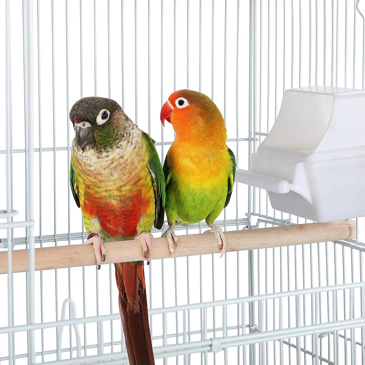 Papa Simba XXL Vogelkooi voor Parkieten & Kanaries - Met Standaard, Wielen, Zitstokken & Voerbakken - Sterk Metaal- Wit- HMTM-10002-White thumbnail 7