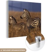 MuchoWow® Glasschilderij 20x20 cm - Schilderij acrylglas - Moeder en baby zebra - Foto op glas - Schilderijen