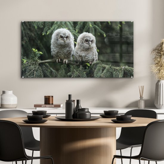 MuchoWow® Peinture sur verre 80x40 cm - Peinture sur verre acrylique - Deux hiboux - Photo sur verre - Peintures