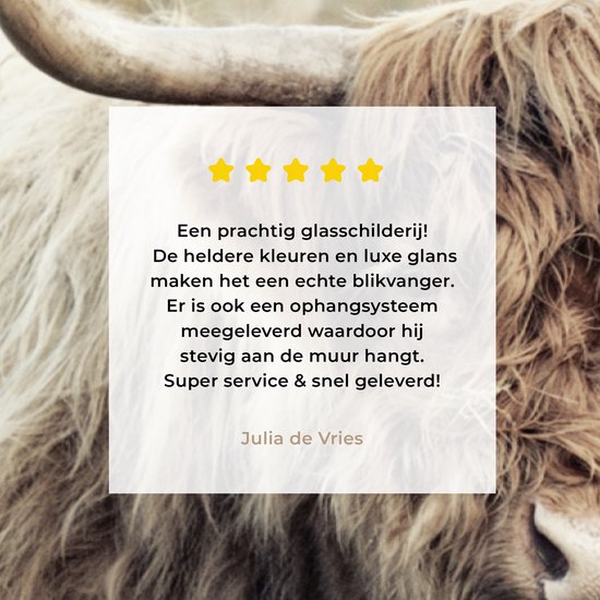 Klantbeoordeling met vijf sterren over een Schotse Hooglander glasschilderij met een luxe glans.