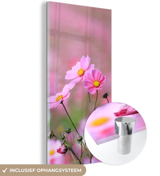 MuchoWow® Glasschilderij 40x80 cm - Schilderij acrylglas - Bloemen - Buiten - Roze - Foto op glas - Schilderijen