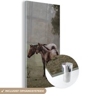 MuchoWow® Glasschilderij 20x40 cm - Schilderij acrylglas - Paarden - Natuur - Mist - Foto op glas - Schilderijen
