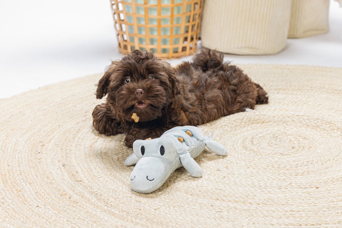 Beeztees Puppy Krokodil Jake - Hondenspeelgoed thumbnail 5
