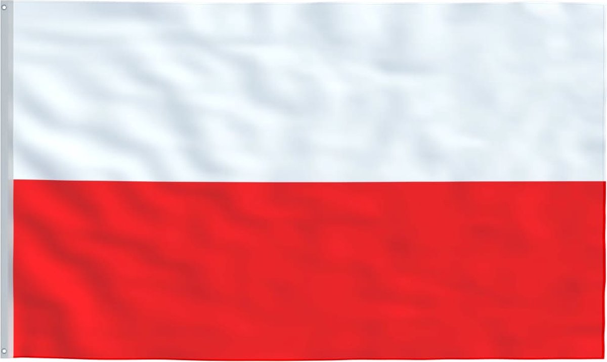 Vlag , 90x150 cm , kleurrijk , duurzaam , polyester , meerkleurig , messing oogjes, polen