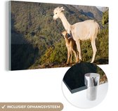 MuchoWow® Glasschilderij 160x80 cm - Schilderij acrylglas - Alpaca's - Berg - Natuur - Foto op glas - Schilderijen