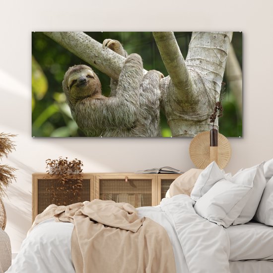 MuchoWow® Peinture sur verre - Un paresseux accroché à une branche - 160x80 cm - Peintures sur verre acrylique - Photo sur Glas
