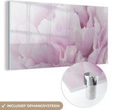 Peinture sur verre - Gros plan d'une pivoine rose - 160x80 cm - Peintures Plexiglas
