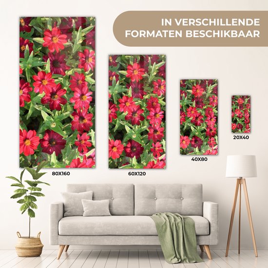 MuchoWow® Glasschilderij 60x120 cm - Schilderij acrylglas - Rode zinnia bloemen tijdens een zonnige dag - Foto op glas - Schilderijen