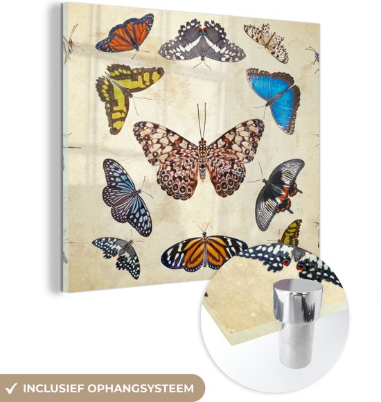 MuchoWow® Glasschilderij 50x50 cm - Schilderij acrylglas - Botanische print vlinders - Foto op glas - Schilderijen