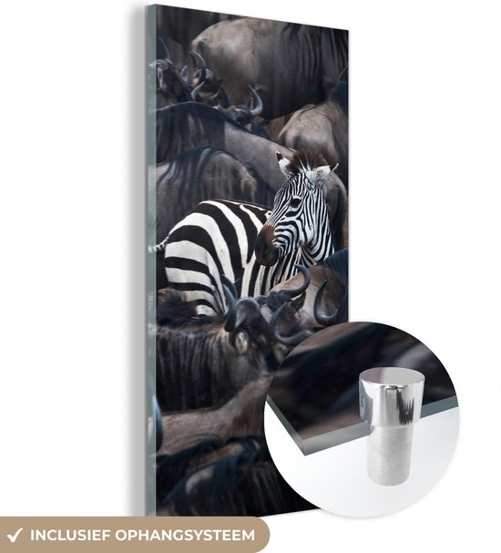 MuchoWow® Glasschilderij 20x40 cm - Schilderij acrylglas - Zebra - Buffels - Bruin - Foto op glas - Schilderijen