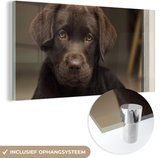 MuchoWow® Glasschilderij 160x80 cm - Schilderij acrylglas - Schattige Labrador Retriever die in de camera kijkt - Foto op glas - Schilderijen