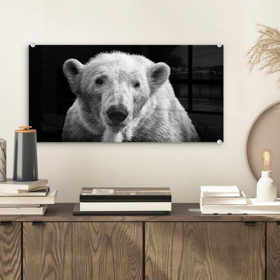 Peinture sur Verre - Ours Polaire - Animal - Zwart - Wit - 40x20 cm - Peintures sur Verre Peintures - Photo sur Glas