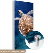 MuchoWow® Peinture sur verre 40x80 cm - Peinture sur verre acrylique - Impression photo tortue de mer - Photo sur verre - Peintures