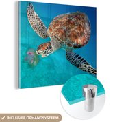 MuchoWow® Peinture sur verre 90x90 cm - Peinture sur verre acrylique - Tortue verte avec méduse - Photo sur verre - Peintures