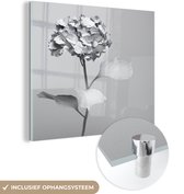 MuchoWow® Glasschilderij 90x90 cm - Schilderij acrylglas - Zwart-wit hortensia - Foto op glas - Schilderijen