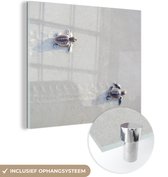 MuchoWow® Glasschilderij 90x90 cm - Schilderij acrylglas - Twee kleine schildpadden - Foto op glas - Schilderijen
