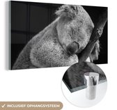 MuchoWow® Glasschilderij 40x20 cm - Schilderij acrylglas - Koala - Tak - Zwart - Kids- Jongens - Meisjes - Foto op glas - Schilderijen