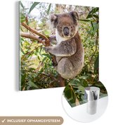 MuchoWow® Glasschilderij 90x90 cm - Schilderij acrylglas - Koala - Bladeren - Takken - Kinderen - Jongens - Meiden - Foto op glas - Schilderijen