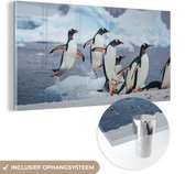 MuchoWow® Glasschilderij 40x20 cm - Schilderij acrylglas - Pinguïns springen uit het water - Foto op glas - Schilderijen