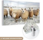 MuchoWow® Glasschilderij 40x20 cm - Schilderij acrylglas - Groep nieuwsgierige schapen - Foto op glas - Schilderijen