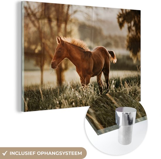 MuchoWow® Peinture sur verre 150x100 cm - Peinture sur verre acrylique - Cheval - Lumière - Prairie - Photo sur verre - Peintures