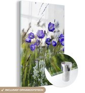 MuchoWow® Glasschilderij 60x90 cm - Schilderij acrylglas - Campanula's in veld met wilde bloemen - Foto op glas - Schilderijen